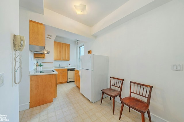 kitchen featuring white refrigerator, black electric stovetop, sink, and stainless steel dishwasher