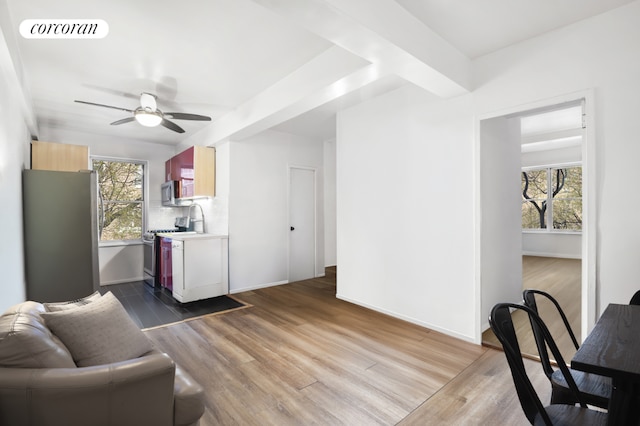 living room with ceiling fan, hardwood / wood-style flooring, and sink