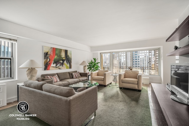 living room featuring a premium fireplace and dark hardwood / wood-style floors