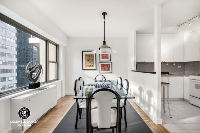 dining area featuring radiator heating unit