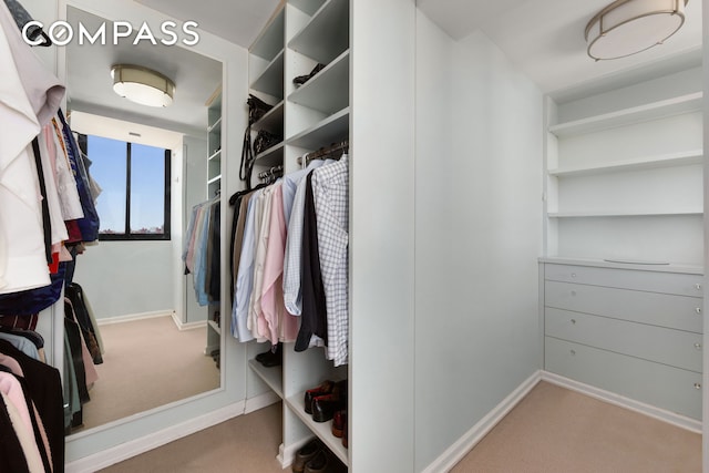 spacious closet with carpet flooring