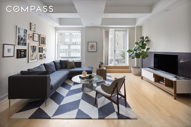 living room featuring a raised ceiling, plenty of natural light, and wood finished floors