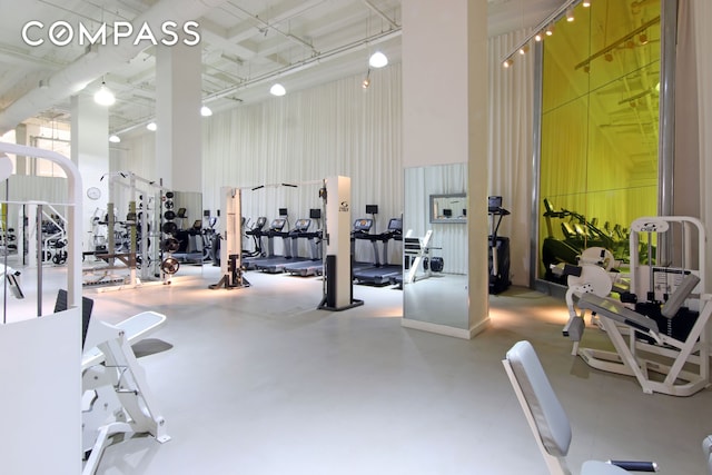 exercise room with a high ceiling