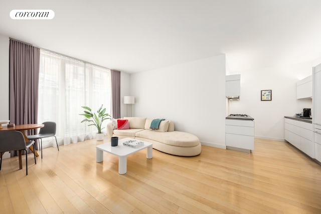 living room featuring baseboards, visible vents, and light wood-style floors