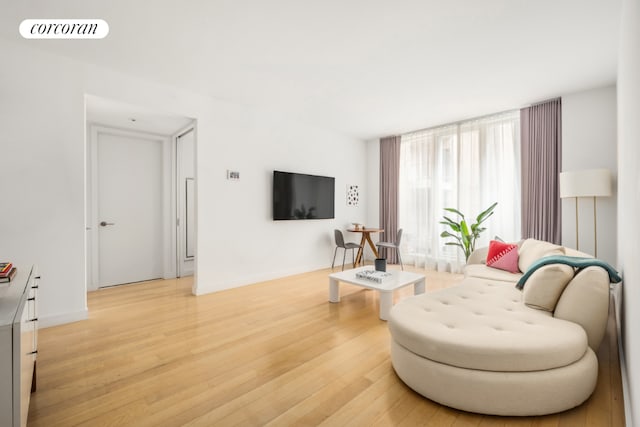 living room featuring light hardwood / wood-style floors