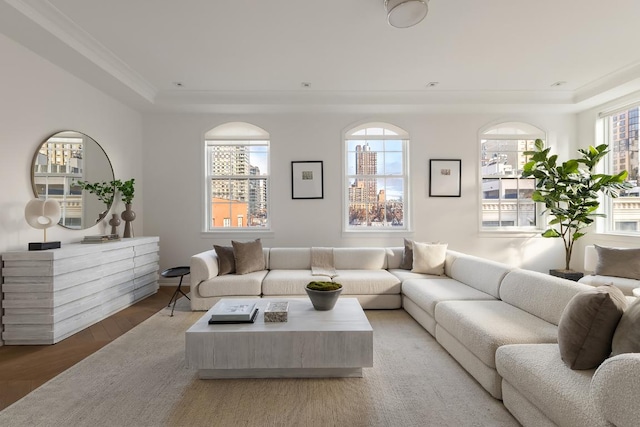 living room with wood-type flooring, a tray ceiling, and a wealth of natural light