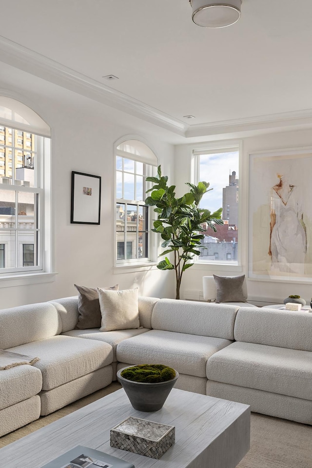 320 E 82nd Street Penthouse, New York City, NY 10028 - living area featuring crown molding