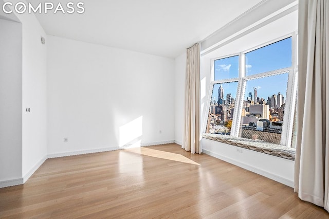 empty room featuring a wealth of natural light and light hardwood / wood-style floors