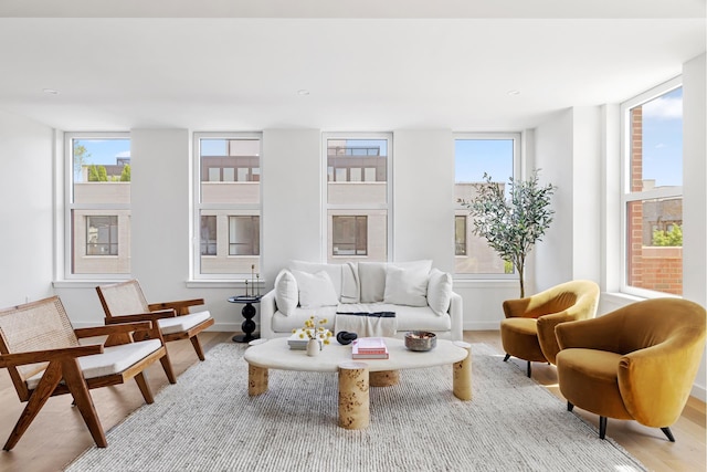 171 Calyer St Unit 4C, New York City, NY 11222 - living area featuring wood finished floors and healthy amount of natural light