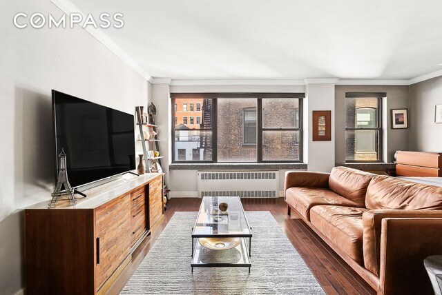 living room featuring crown molding, dark hardwood / wood-style flooring, and radiator heating unit