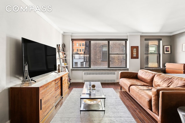 living area featuring baseboards, radiator, wood finished floors, and ornamental molding