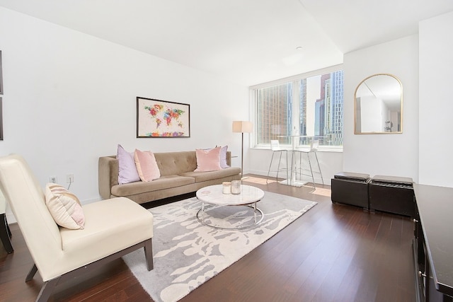 living room with dark hardwood / wood-style flooring