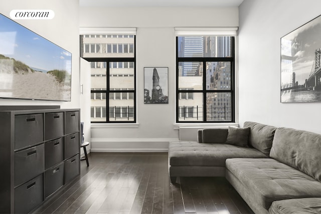 living room with dark hardwood / wood-style floors