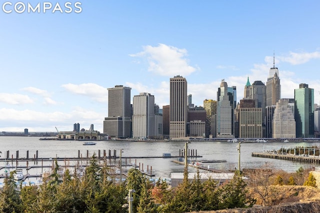 view of city featuring a water view