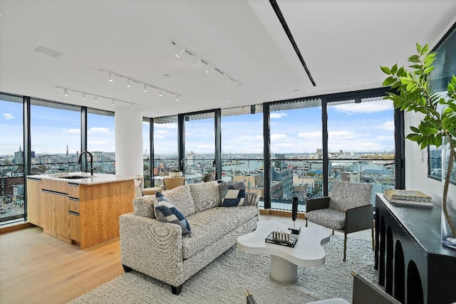 living room featuring sink, light hardwood / wood-style flooring, floor to ceiling windows, and a healthy amount of sunlight