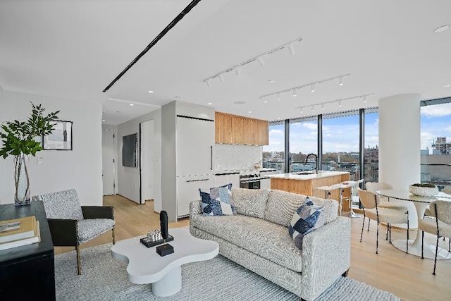 living room with sink and light hardwood / wood-style floors