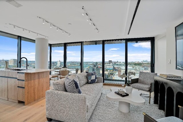 living room featuring sink, a wealth of natural light, expansive windows, and light wood-type flooring