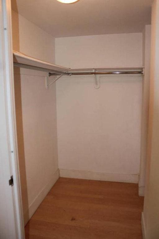 walk in closet with light wood-type flooring