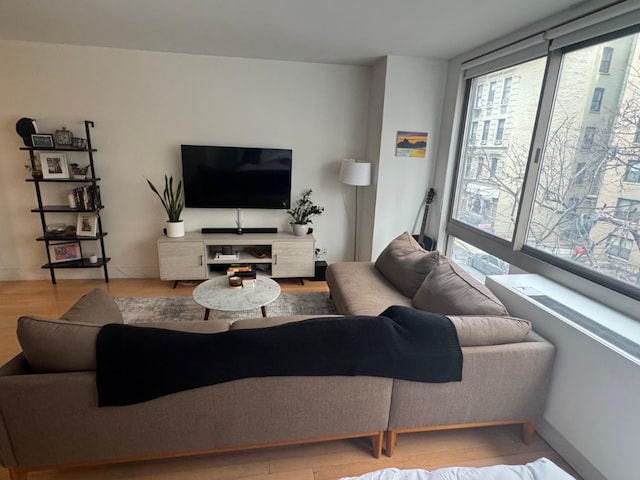 living room featuring light hardwood / wood-style floors