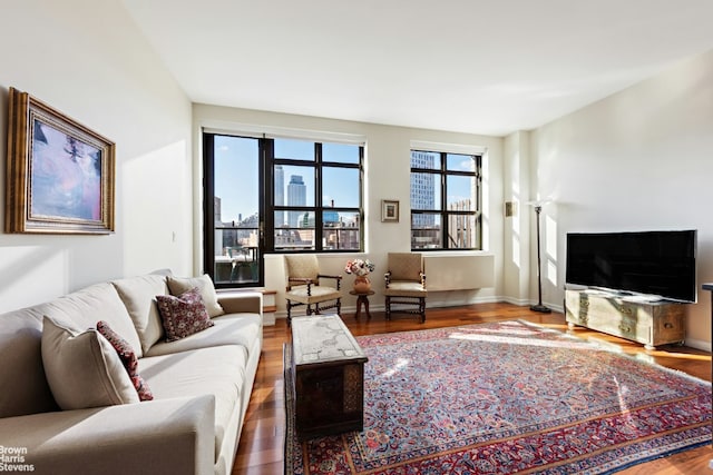 living room with wood-type flooring