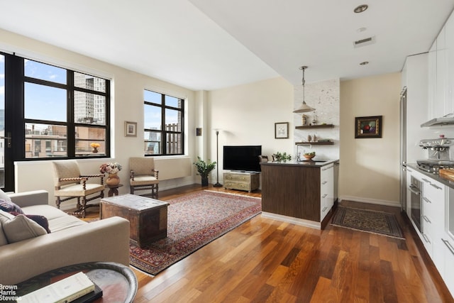 living room featuring dark hardwood / wood-style flooring