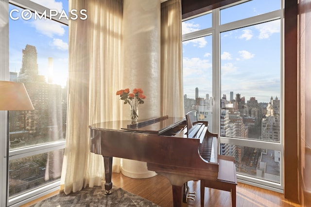 living area featuring a view of city, wood finished floors, and a wealth of natural light