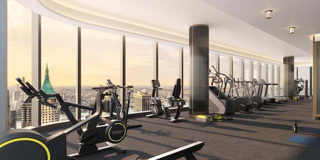 workout area with floor to ceiling windows