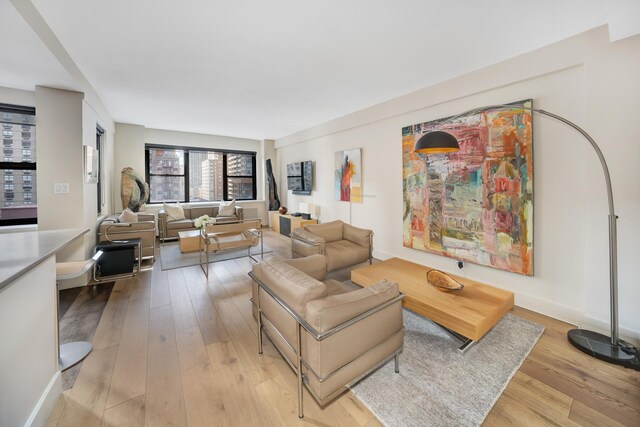 living room with light hardwood / wood-style flooring