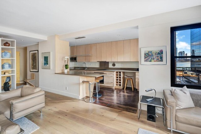 living room featuring sink and light hardwood / wood-style floors