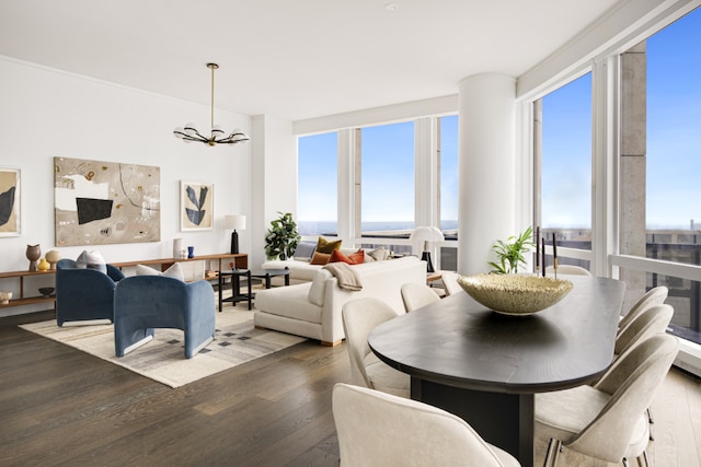 dining room with plenty of natural light, a chandelier, and dark hardwood / wood-style floors