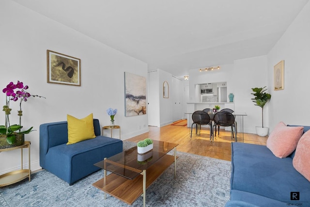 living room with hardwood / wood-style flooring