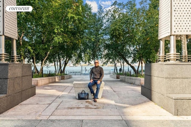 300 Rector Pl Unit 8Lm, New York City, NY 10280 - surrounding community featuring a water view