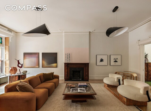 234 Clinton St, New York City, NY 11201 - living room featuring ornamental molding, a fireplace with flush hearth, plenty of natural light, wood finished floors, and baseboards