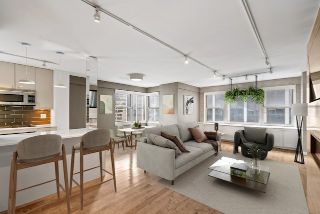 living room featuring rail lighting and light wood-type flooring