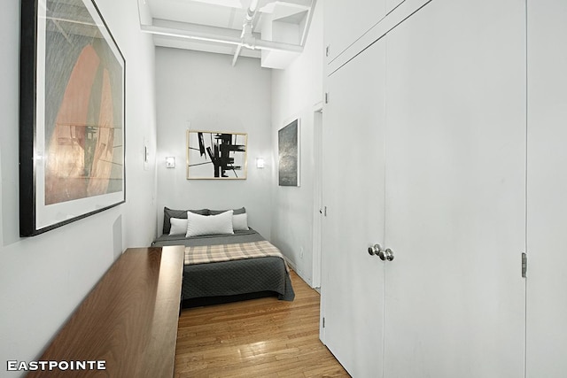 bedroom with a closet and wood-type flooring