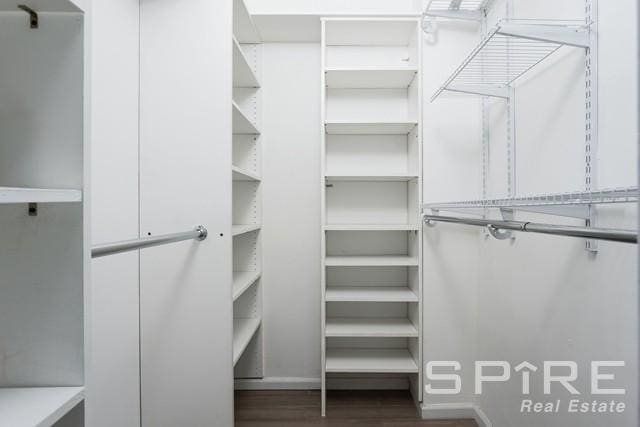 spacious closet featuring dark wood-style floors