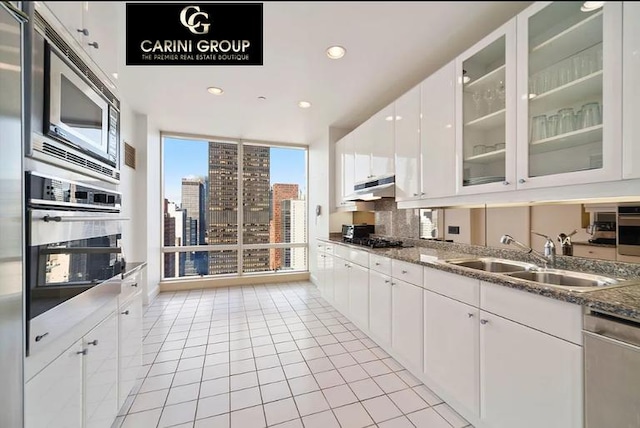 kitchen featuring appliances with stainless steel finishes, a sink, light tile patterned floors, under cabinet range hood, and a city view