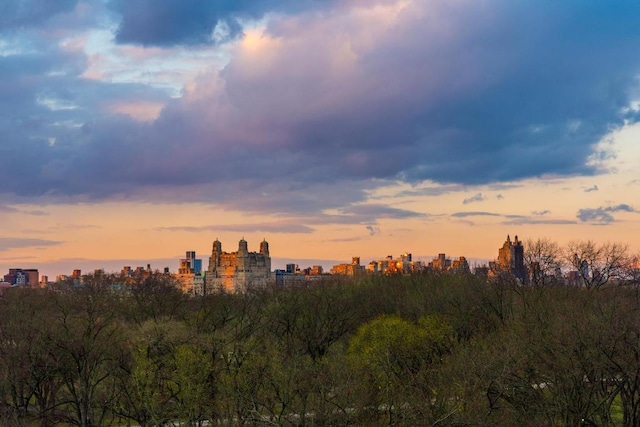 property's view of city