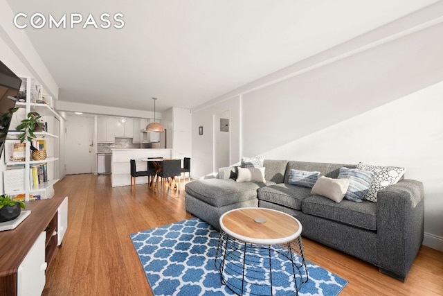 living room featuring light wood-type flooring