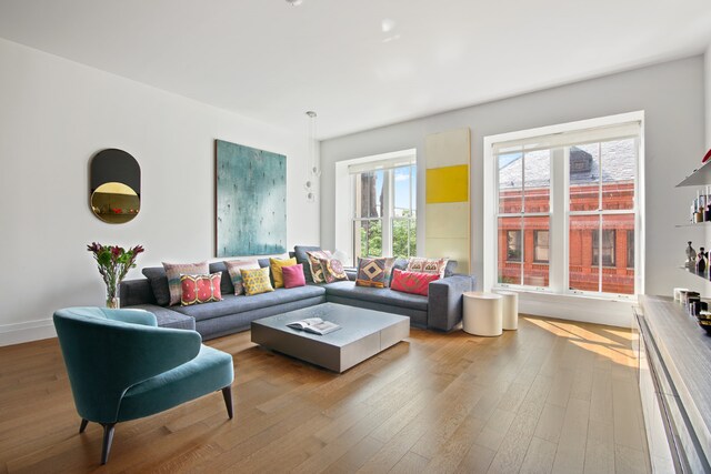 living room with wood-type flooring