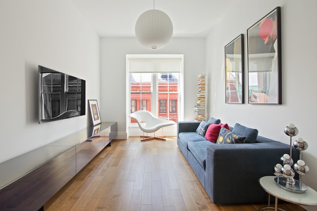 living room featuring hardwood / wood-style floors