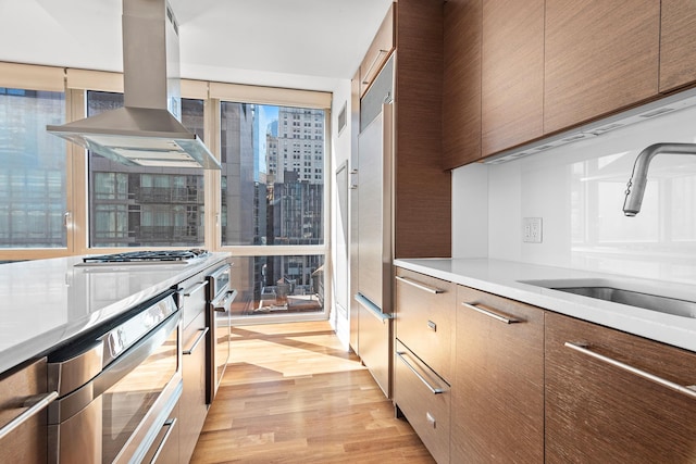 kitchen with light wood finished floors, appliances with stainless steel finishes, island range hood, modern cabinets, and a sink