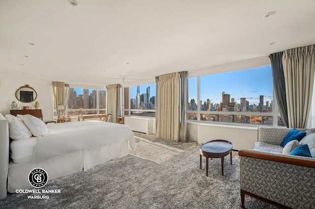 bedroom featuring a city view and carpet flooring