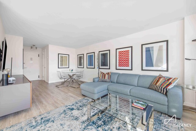 bedroom with light hardwood / wood-style floors