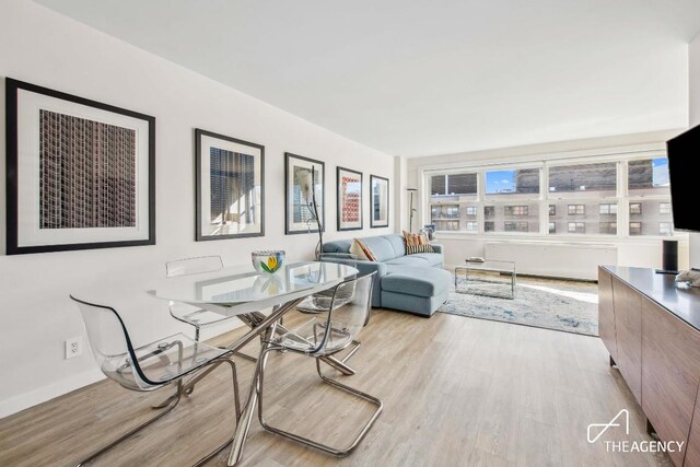 living room with light hardwood / wood-style floors