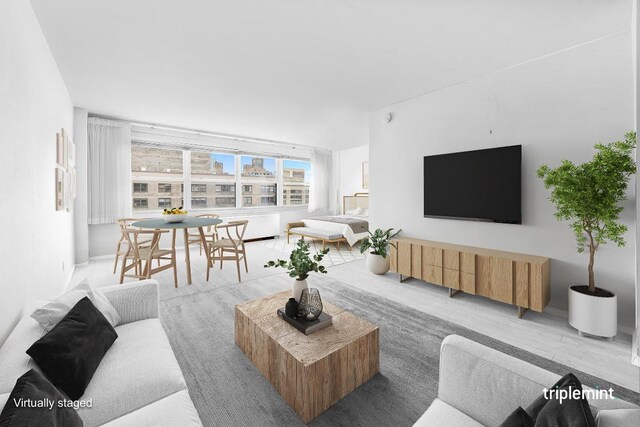 living room featuring light hardwood / wood-style flooring