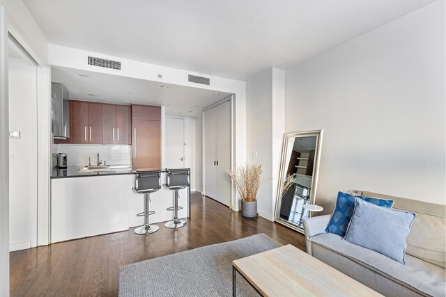 living room featuring sink and dark wood-type flooring