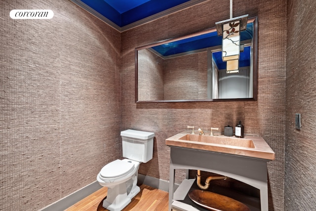 bathroom featuring vanity, hardwood / wood-style flooring, and toilet