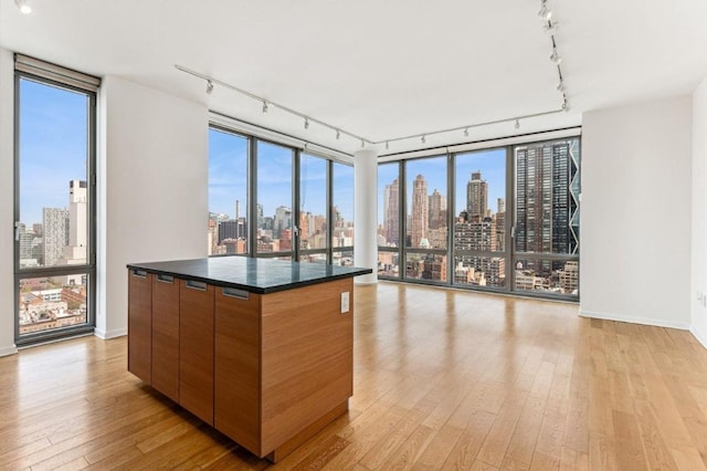 kitchen featuring floor to ceiling windows, plenty of natural light, light hardwood / wood-style flooring, and a spacious island