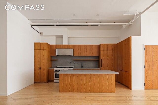 kitchen with stainless steel range, light hardwood / wood-style floors, and decorative backsplash